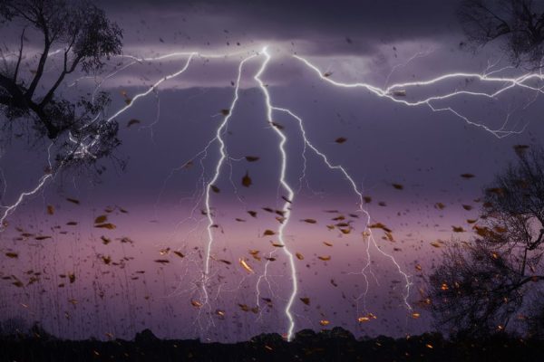 flickering storm card game