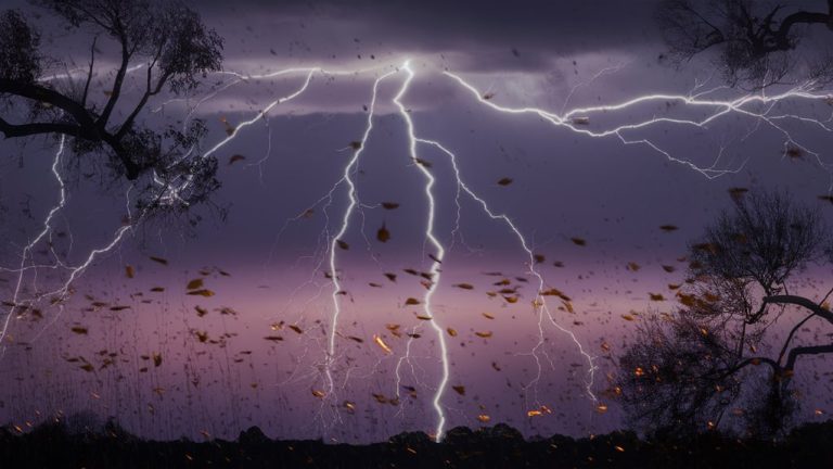 Flickerwind Blackjack: Sweeping Fleeting Tics for Splitting Storms