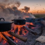 poker fire wild freedom
