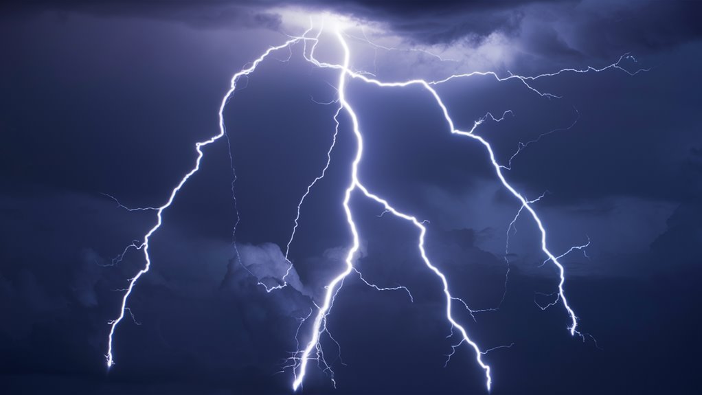thunderbolt branches natural phenomenon